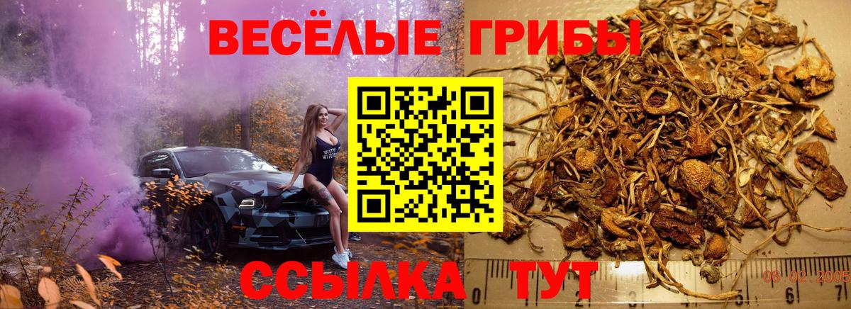 Псилоцибиновые грибы GOLDEN TEACHER  Вход с VPN  Советск 